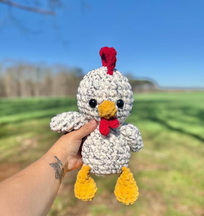 Low-Sew Coop the Chicken Pattern | Instant Digital download PDF
