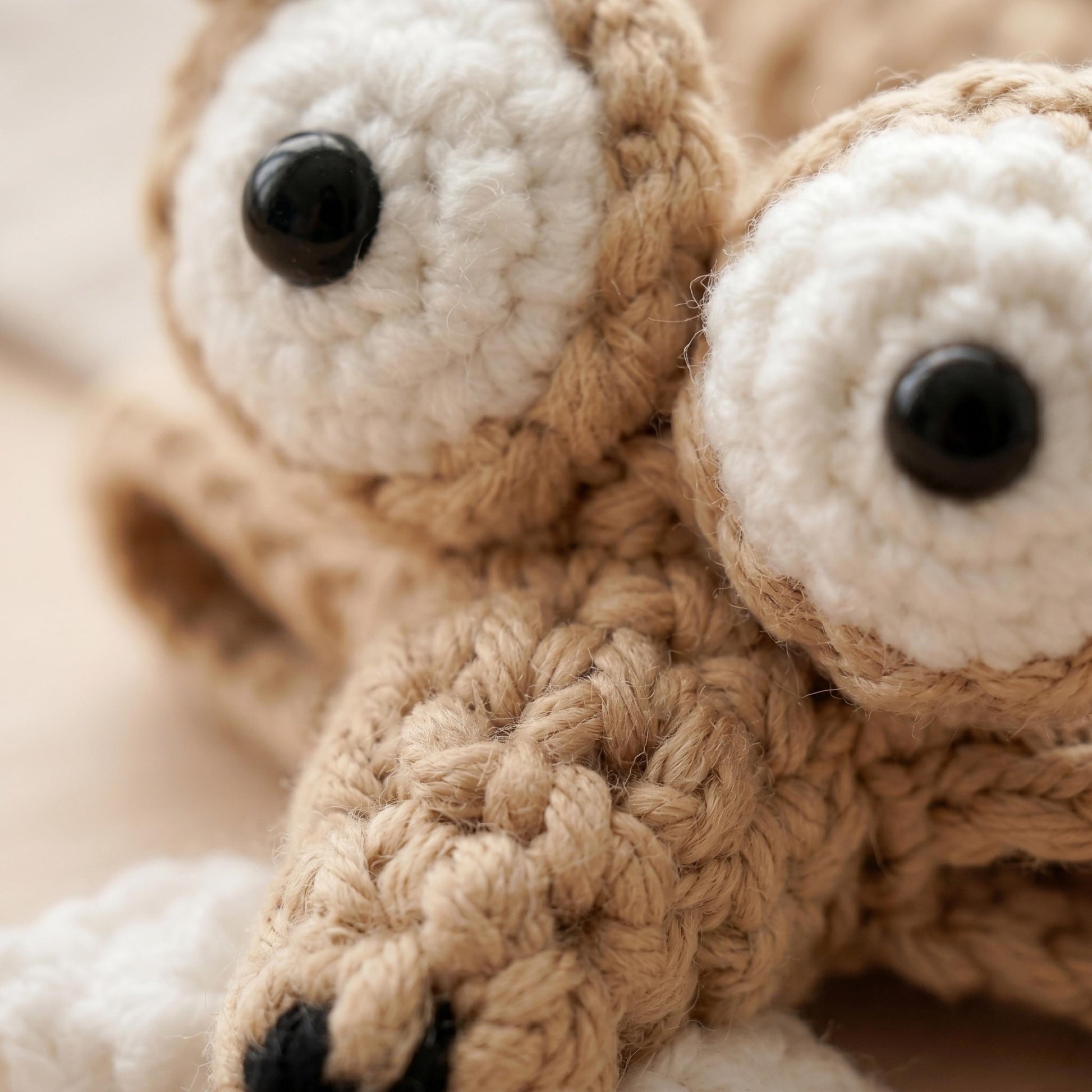 Crochiny 3-in-1 Crocodile Squirrel Lizard Coaster Crochet Pattern Bundle Amigurumi PDF Tutorial